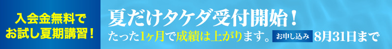 夏だけタケダ